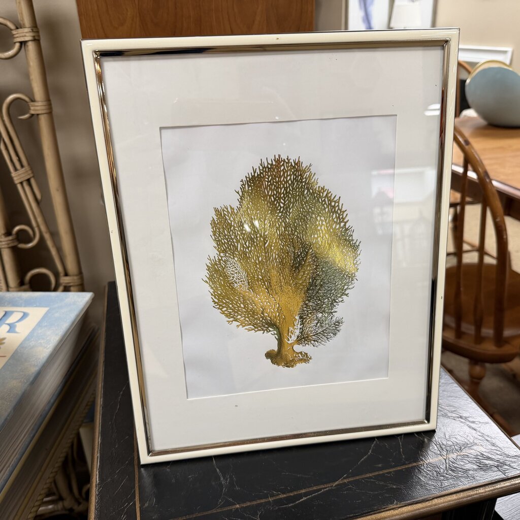 Framed Gold Foil Fan Coral Print