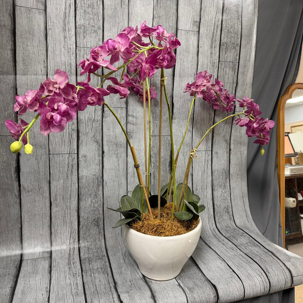 Pink Orchid in Bowl