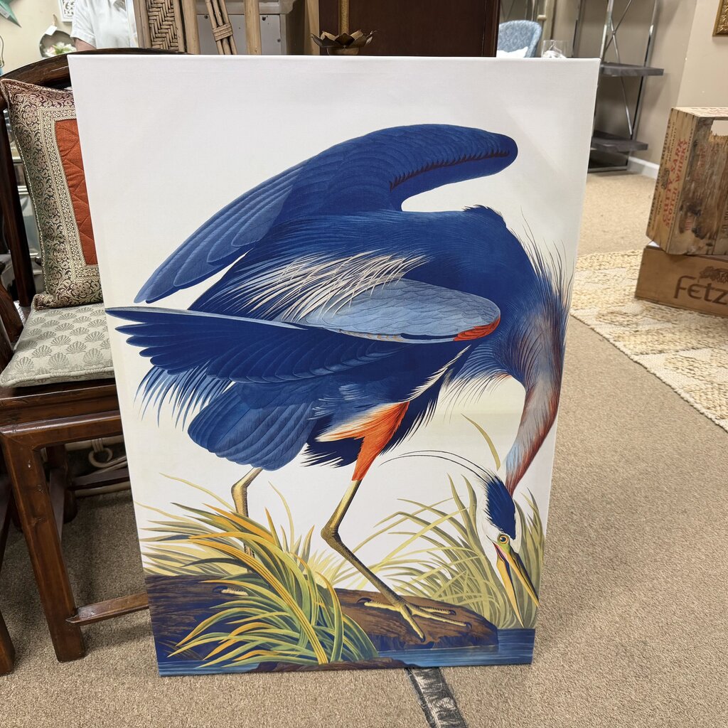Sea Bird Canvas