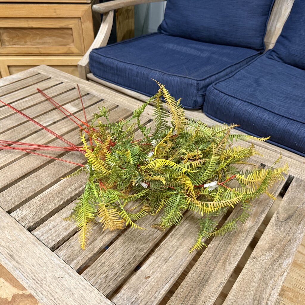 Fern Stems Bundle