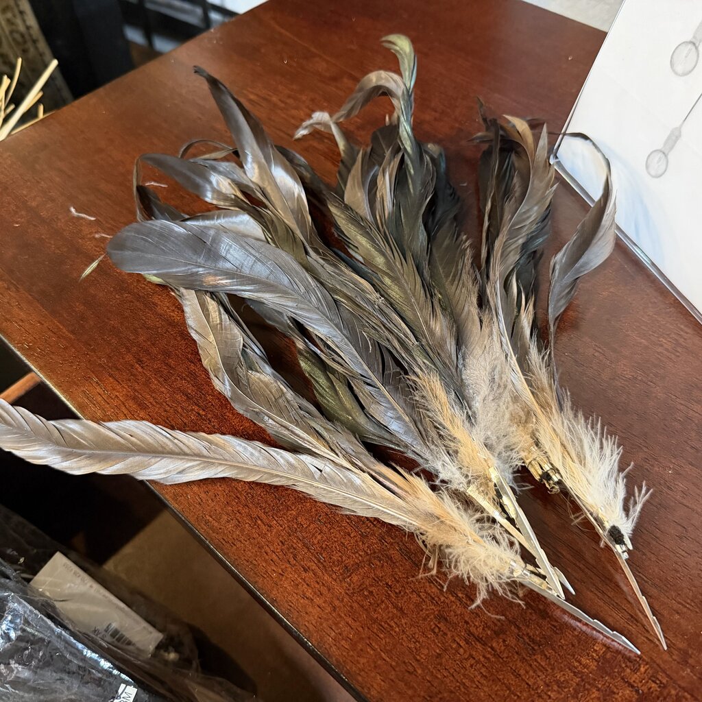 Feather Picks Bundle