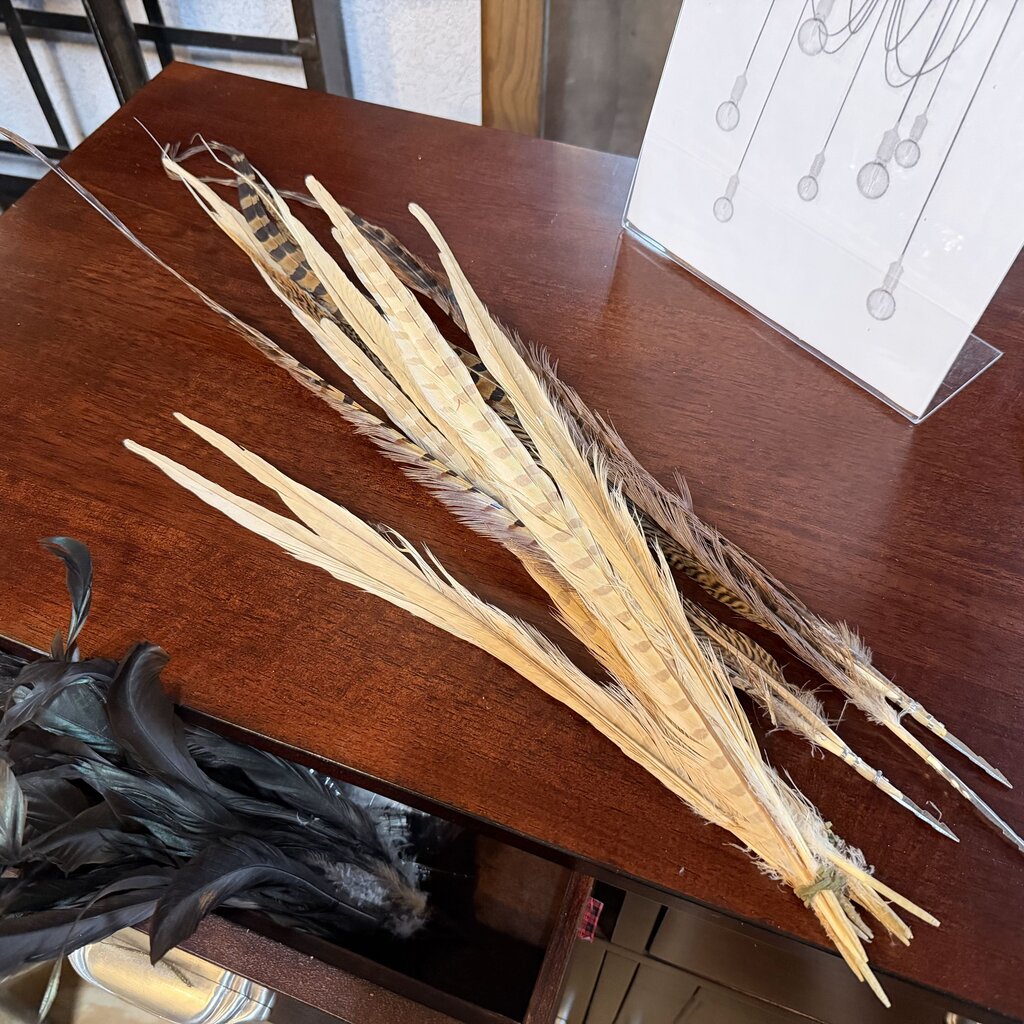 Pheasant Feather Picks Bundle