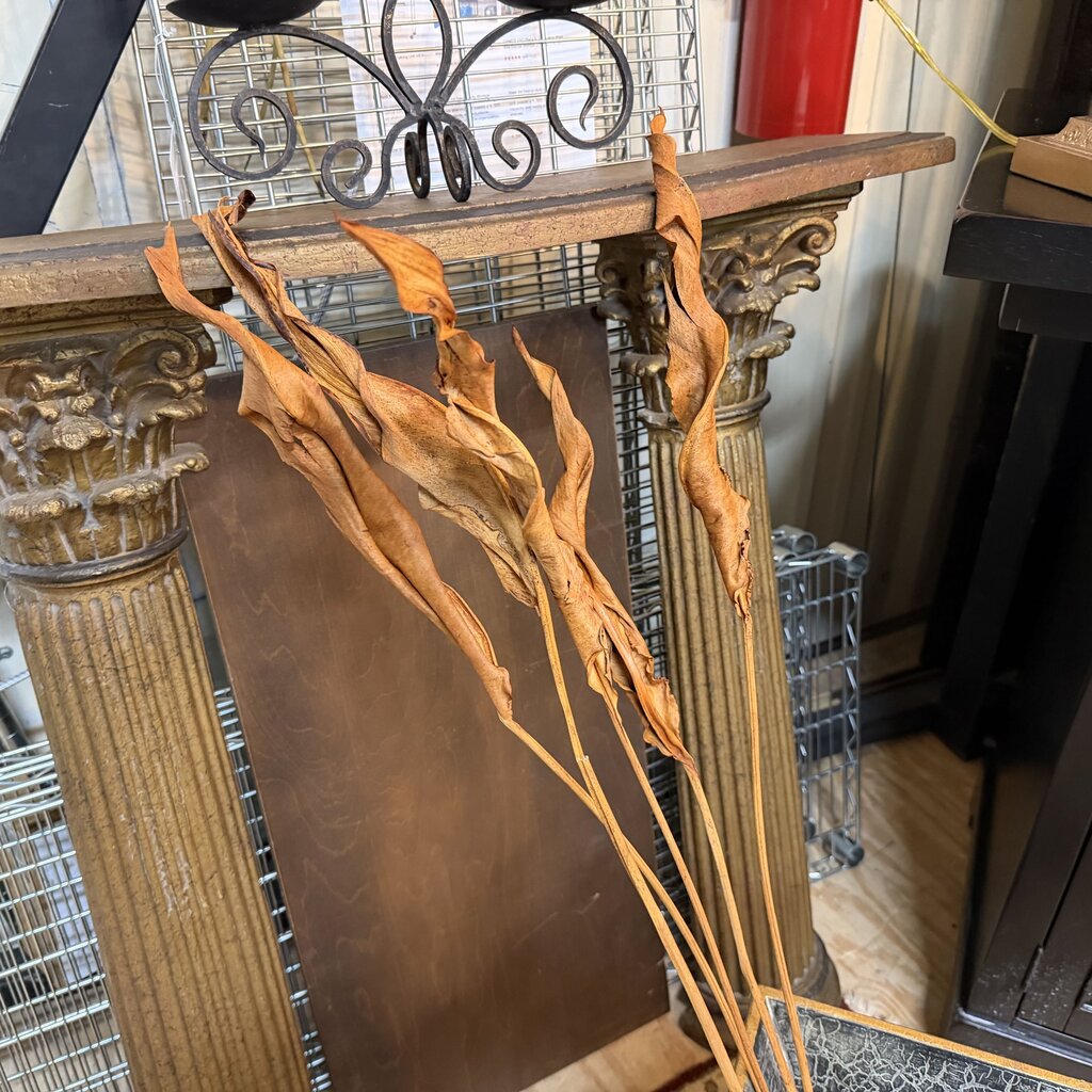 Strelitzia Leaves Bundle