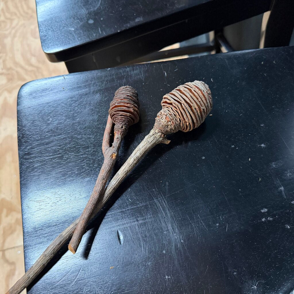 Pair Dried Cone Stems