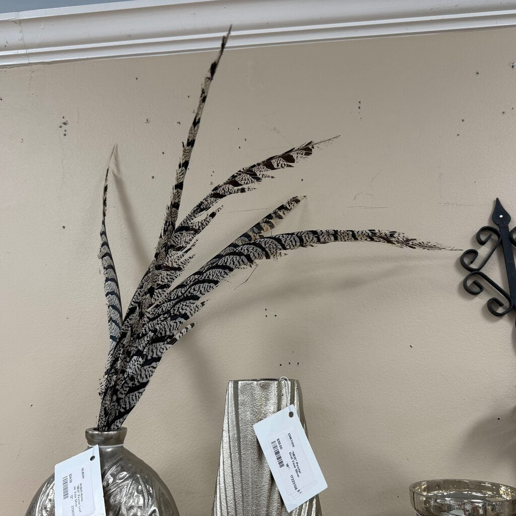 Pheasant Feather Bundle