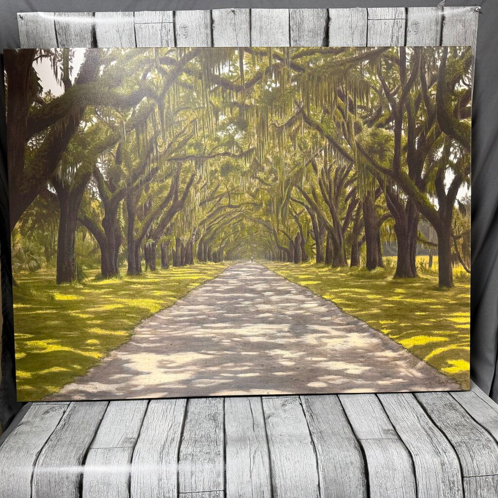 Local Artist Signed Wormsloe Color Canvas Print