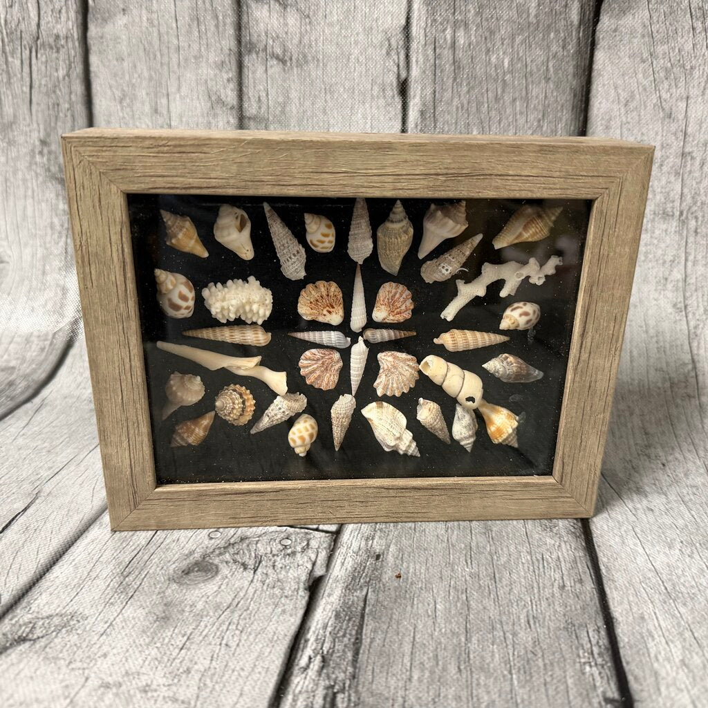 Seashell Shadow Box
