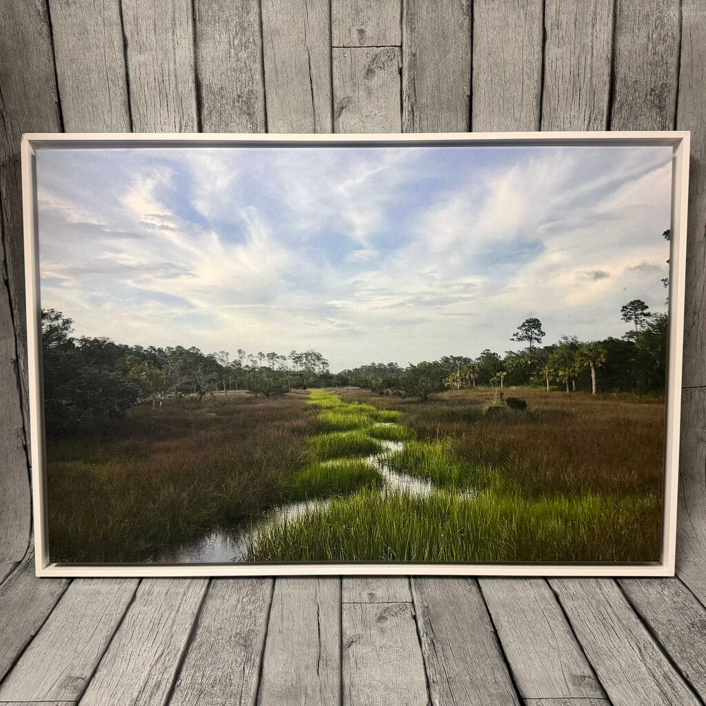 Framed Marsh Canvas