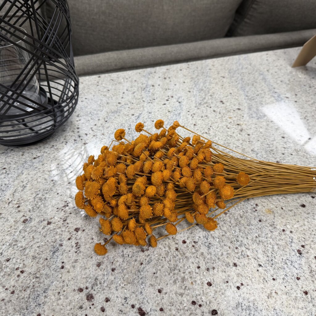 Golden Button Stems