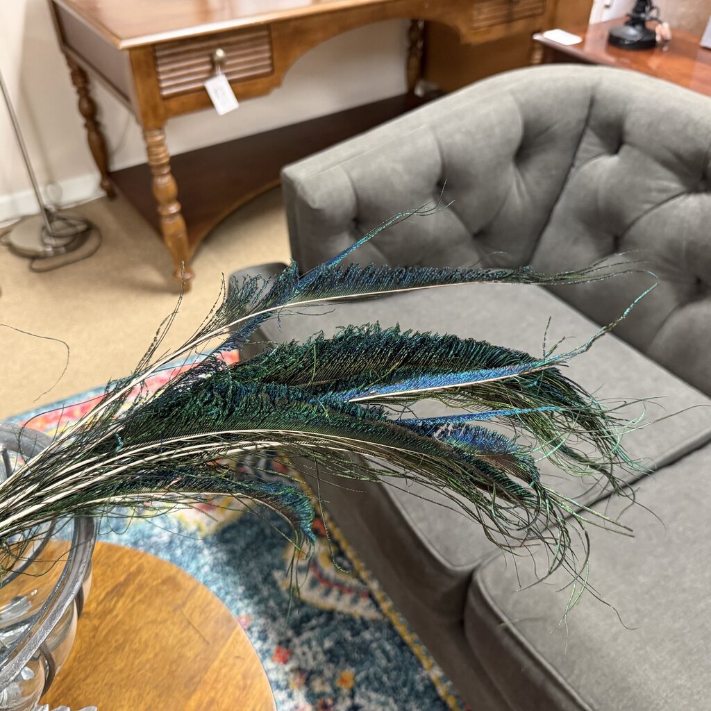 Small Feather Stem Bundles