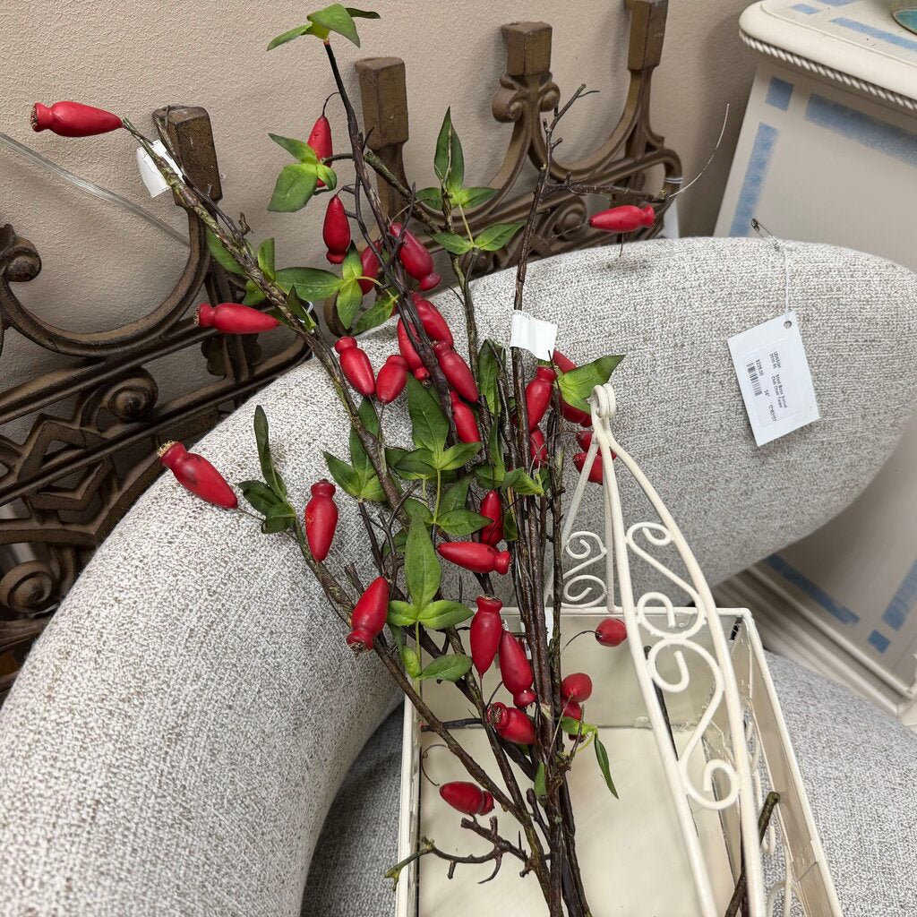 Rose Hip Stems Bundle