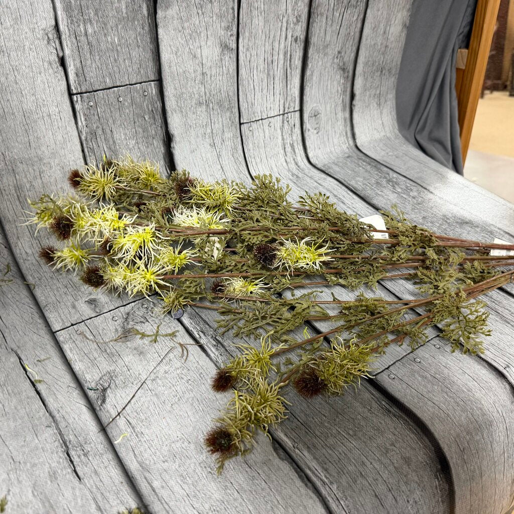 Wild Thistle Stem Bundles