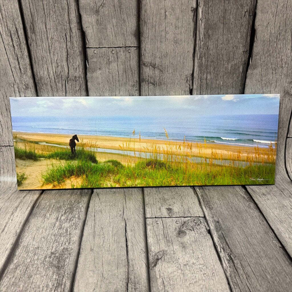 Horse on Beach Canvas