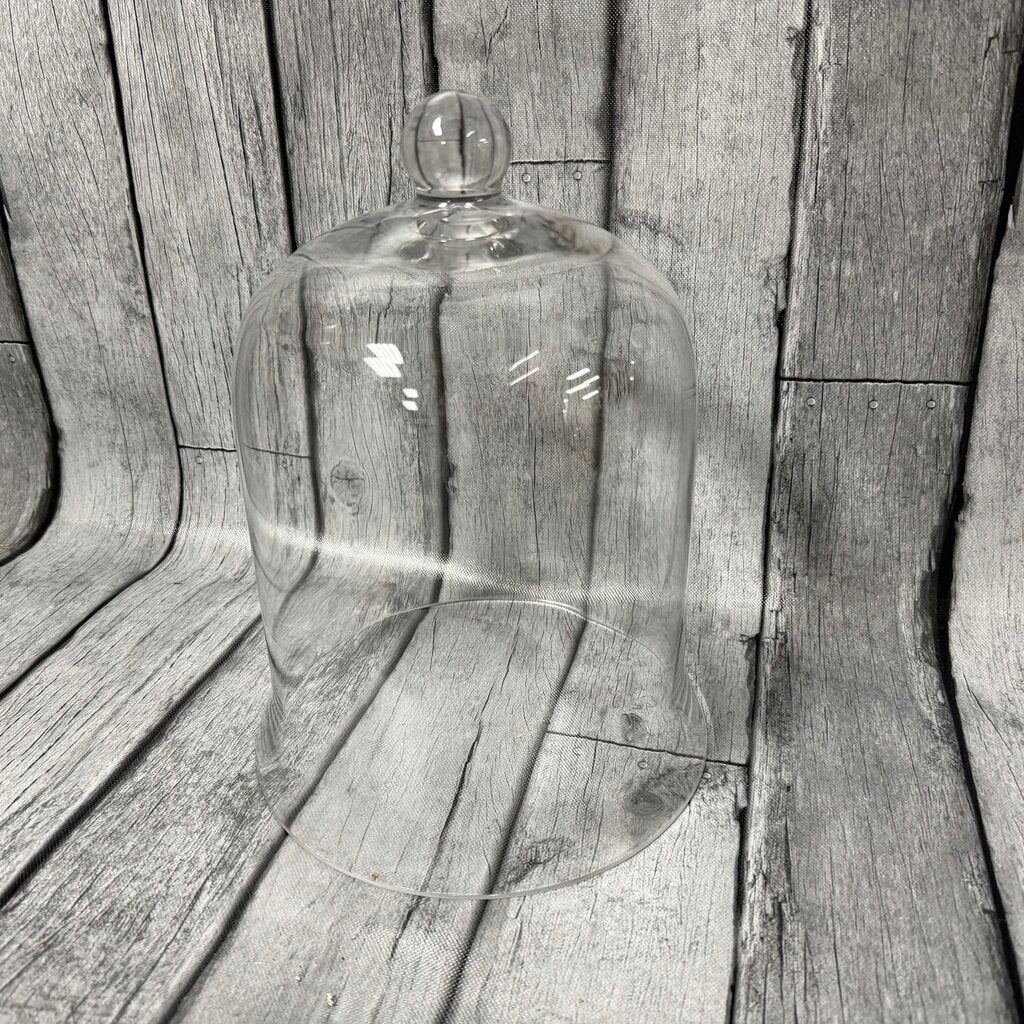 Large Glass Cloche