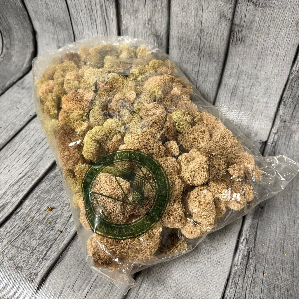 Bag of Sponge Moss