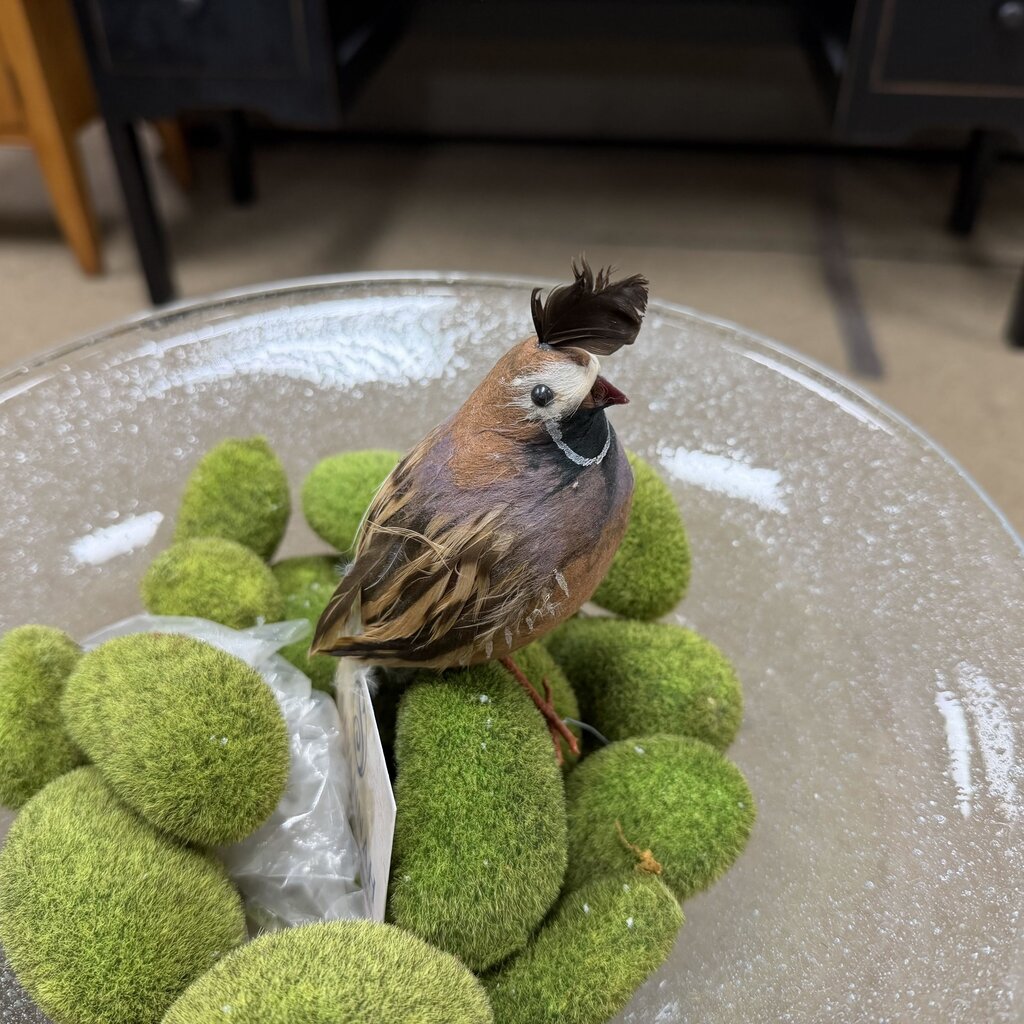 Small Bird Pick