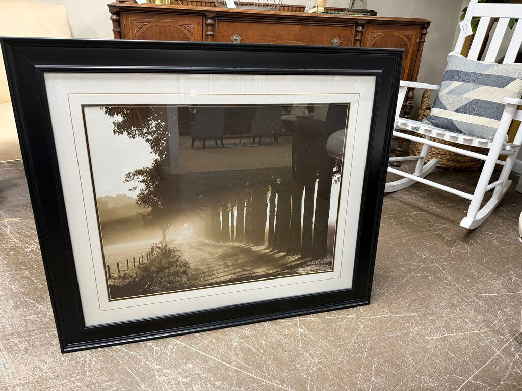 Tree Lined Path Print