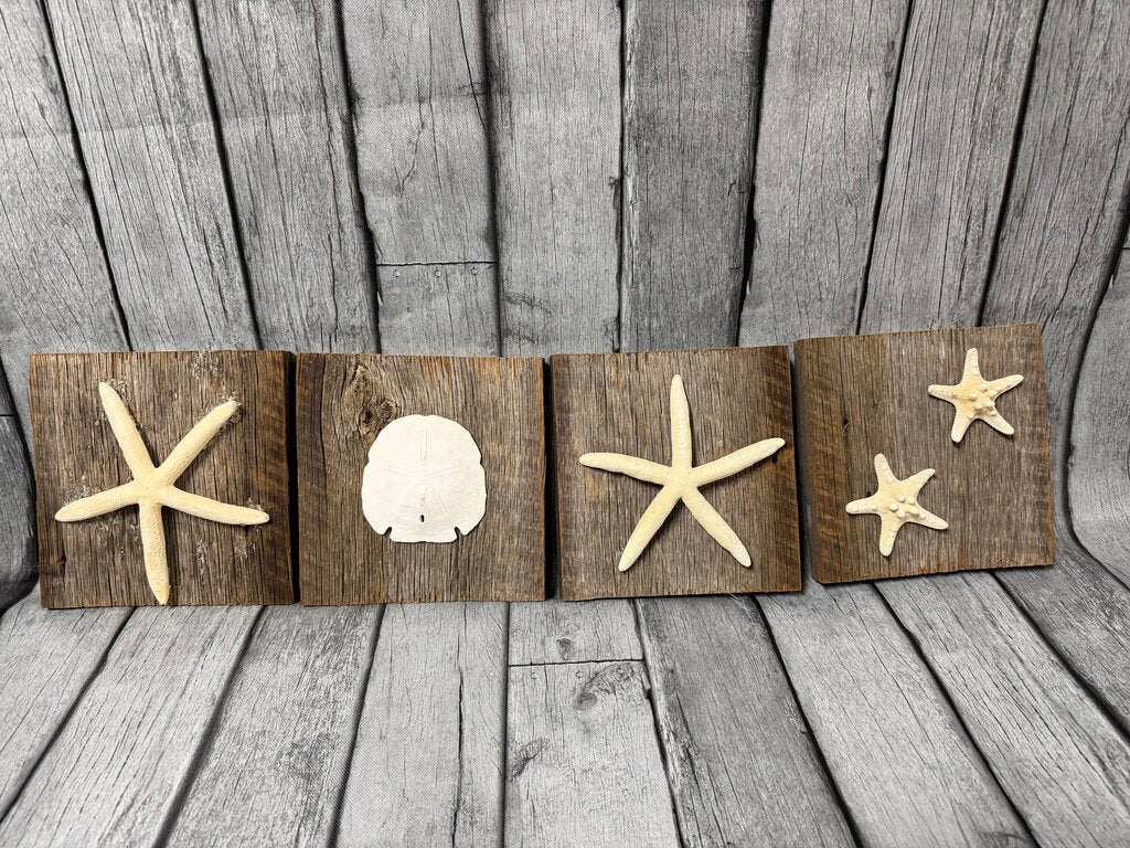 Set/4 Starfish/Sand Dollar Wood Wall Decor