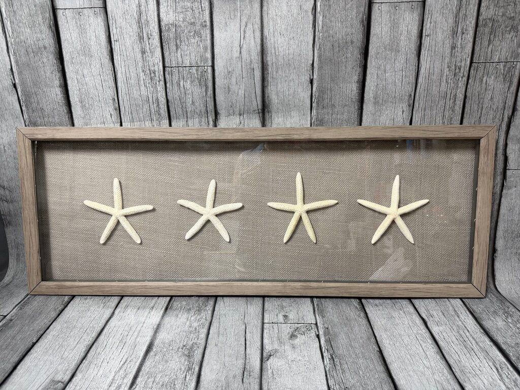 Framed Starfish