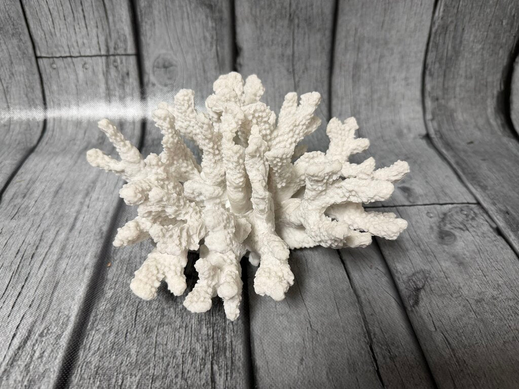 Resin Coral