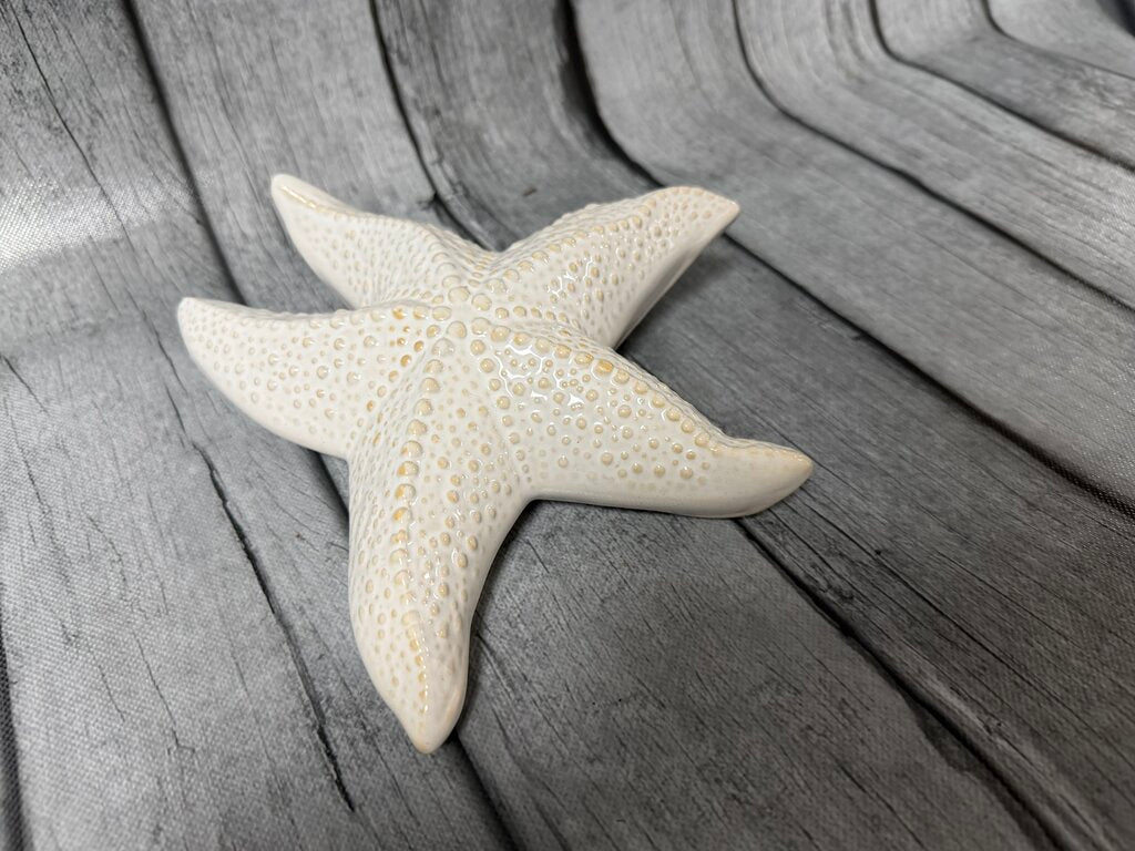 Ceramic Starfish