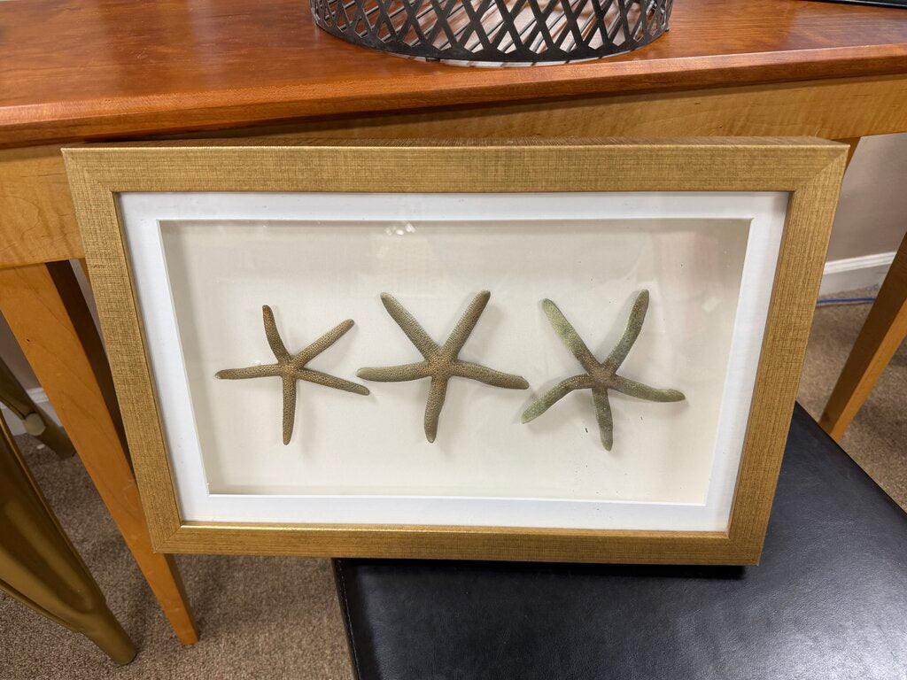 Starfish Wall Decor