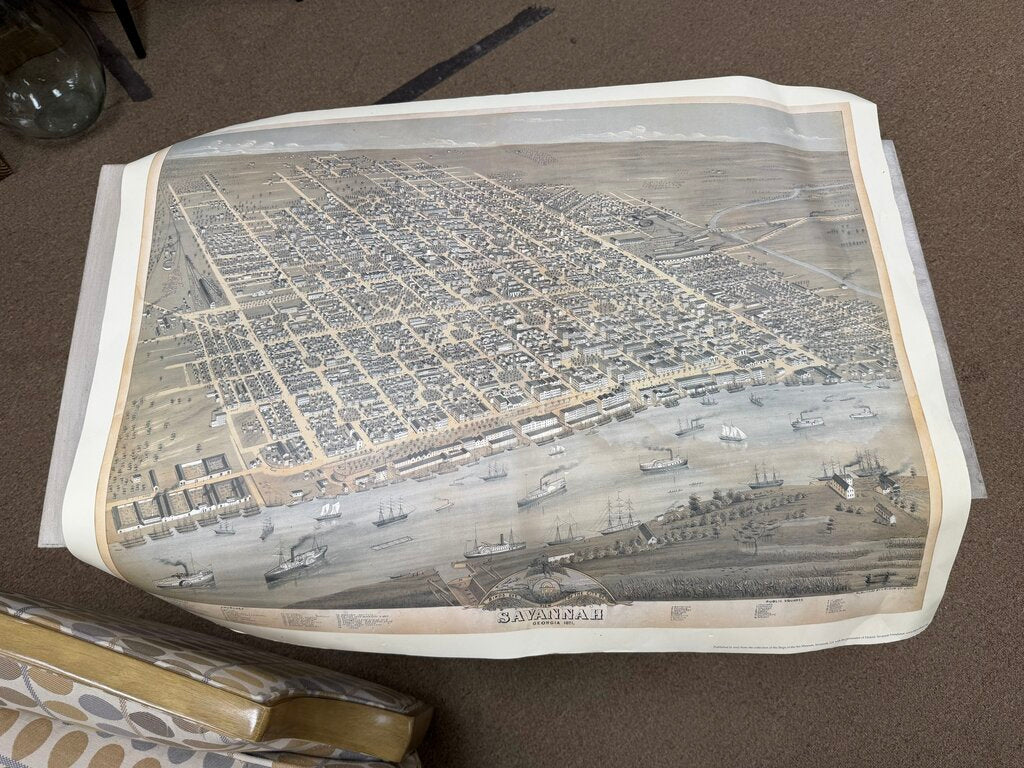 Savannah Plan Print