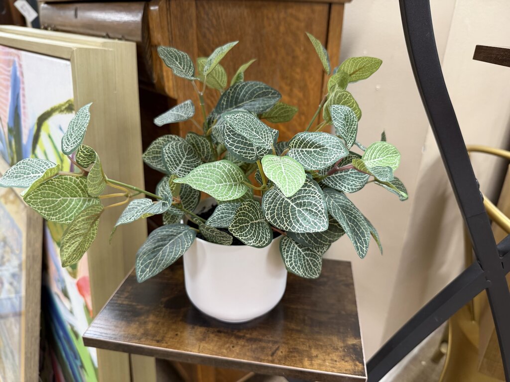 Artificial Plant in Planter