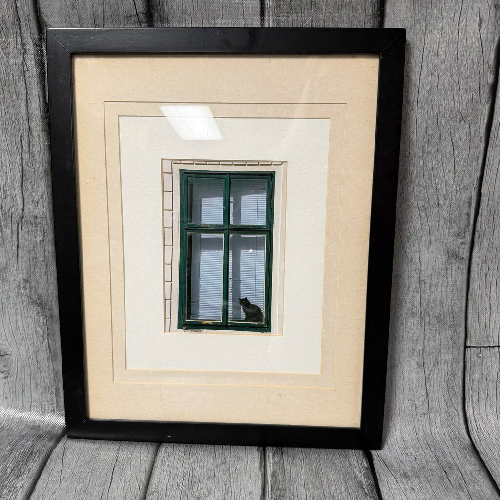 Black Cat in Window