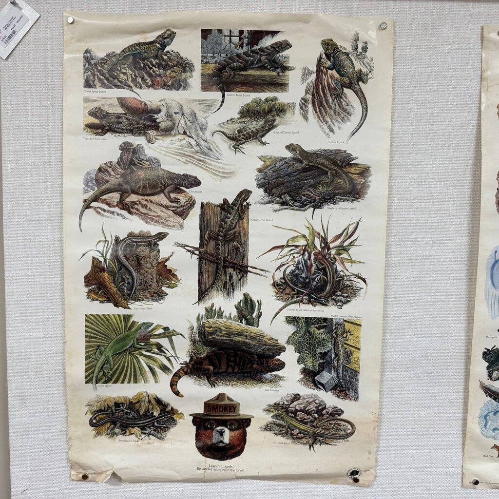 Vintage 1980s Smokey Bear Wildlife Poster