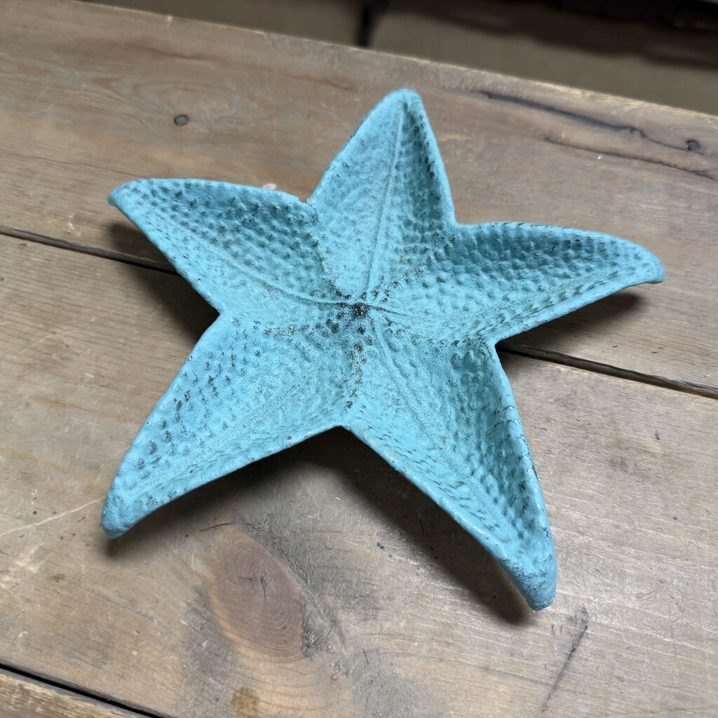 Blue Metal Starfish Dish
