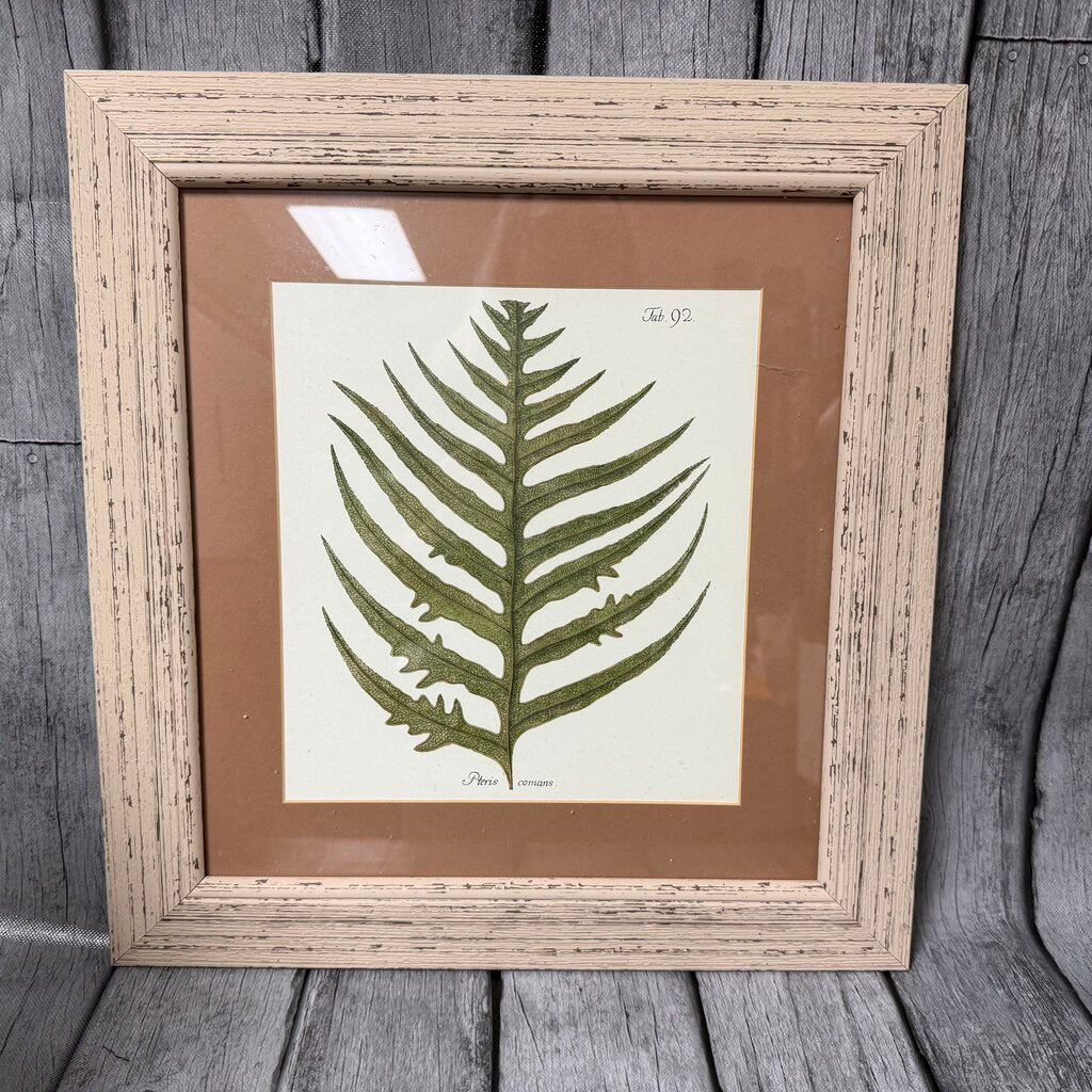 Antique Fern Print