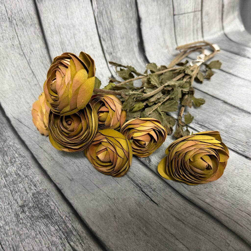 Rananculus Stems Bundle