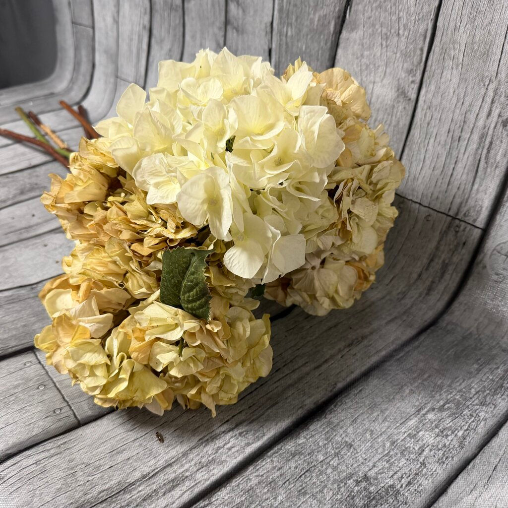 Bundle Hydrangea Stems