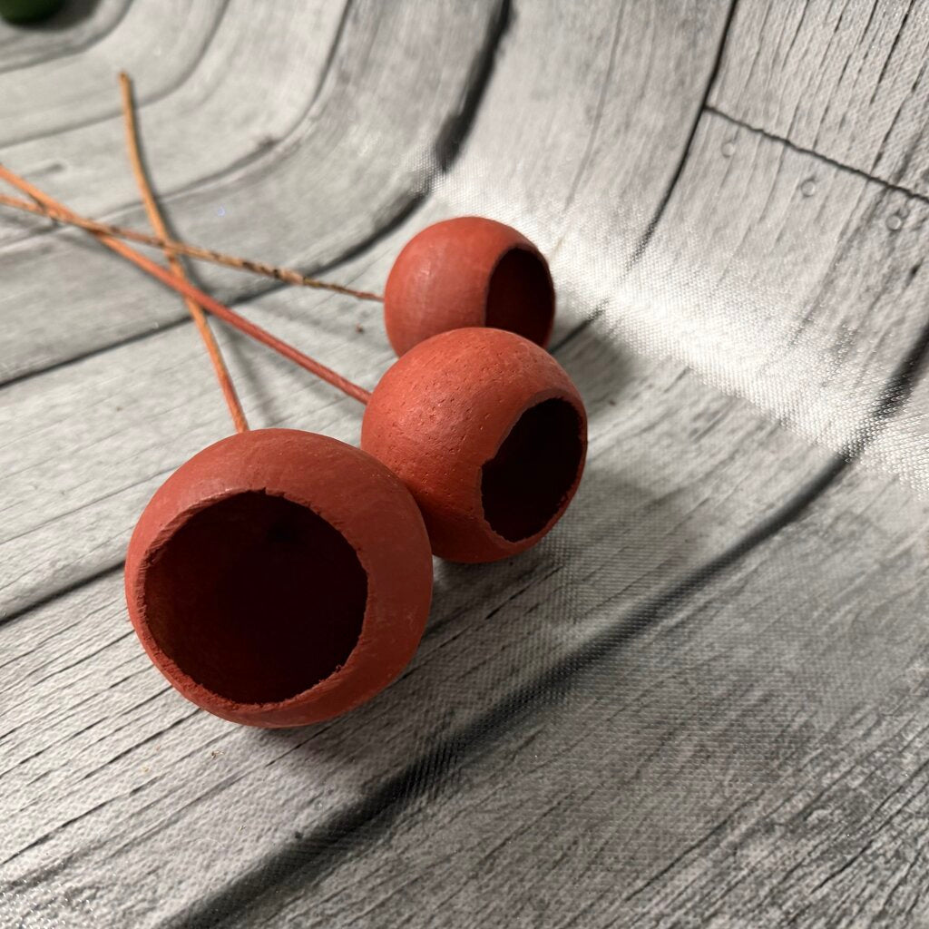 Red Bell Cup Stems