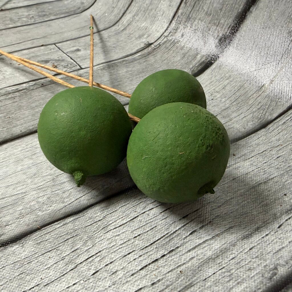 Green Melon Stems