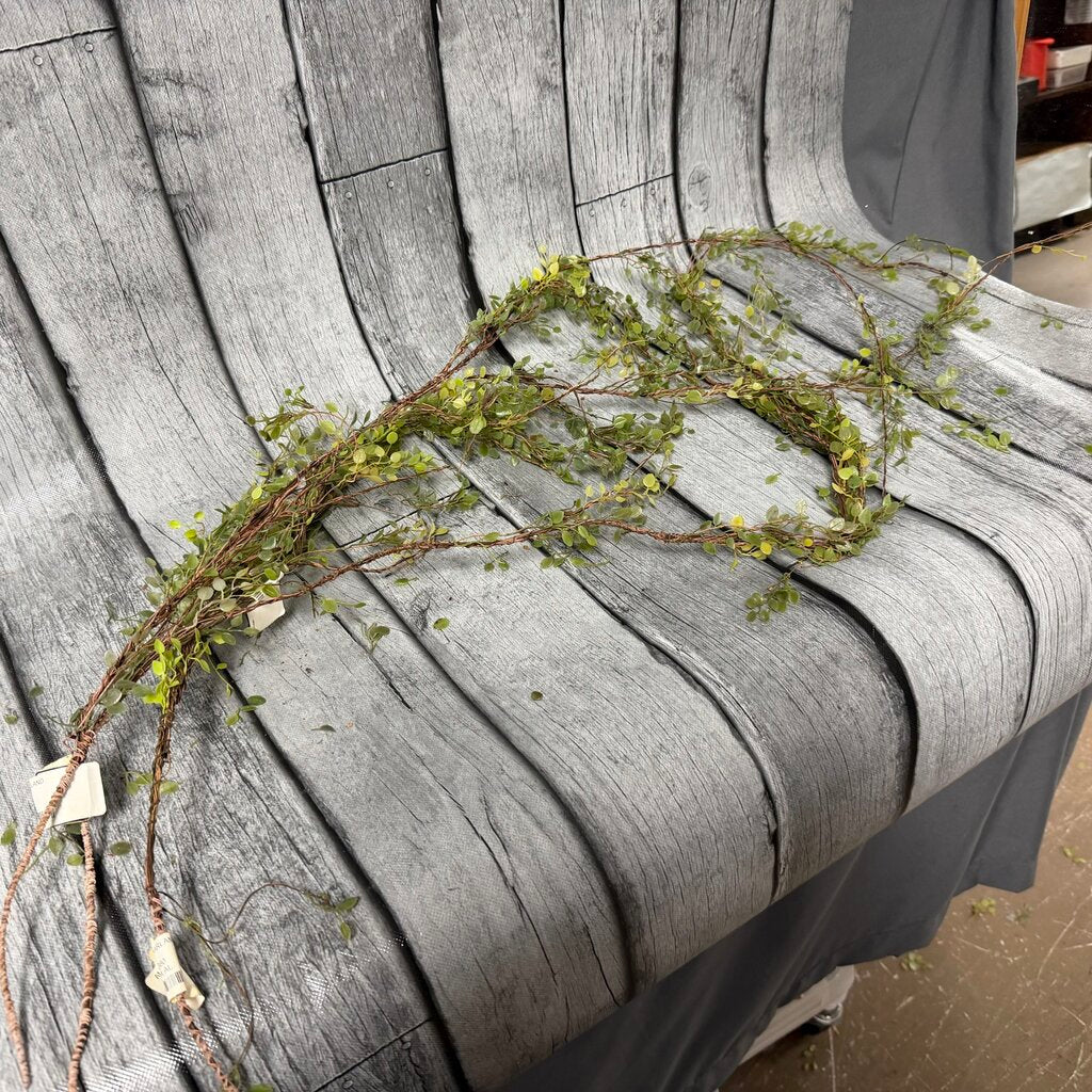 Bundle Angel Vine Garland Stems