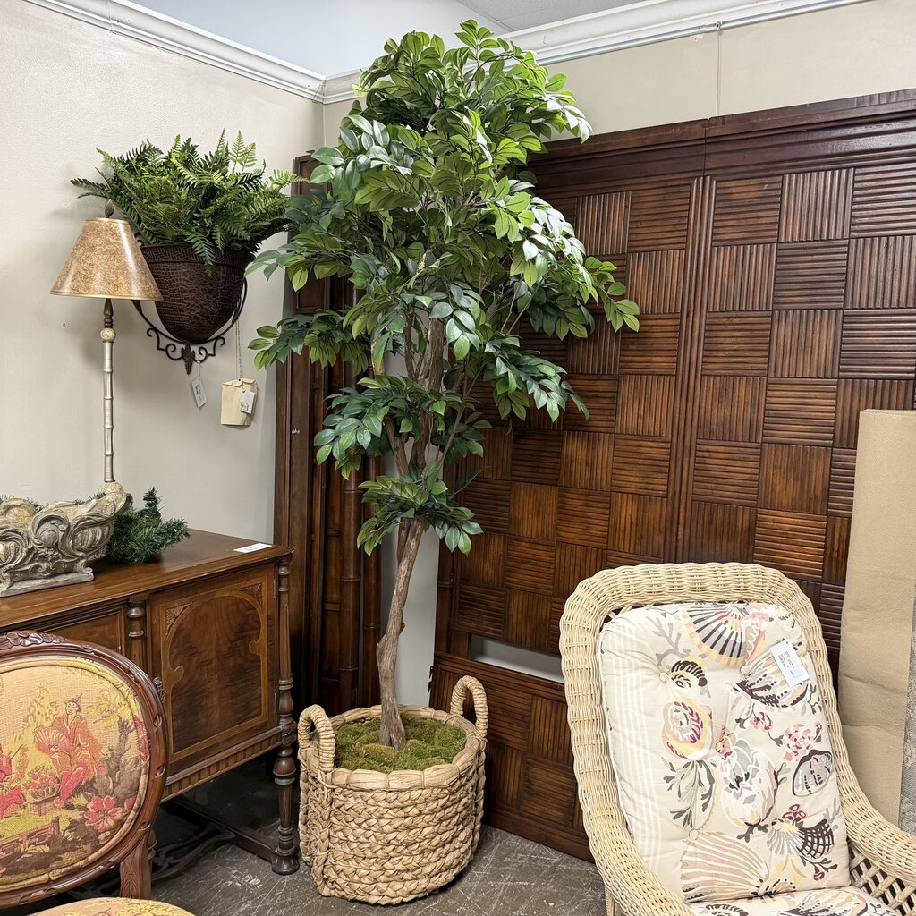 Faux Tree in Basket